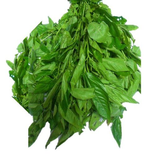 ewedu-leaves Ewedu (1 bunch, uncut)