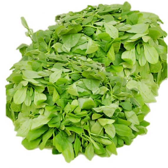 water-leaf Waterleaf (bunch)