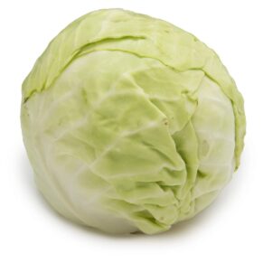 Cabbage