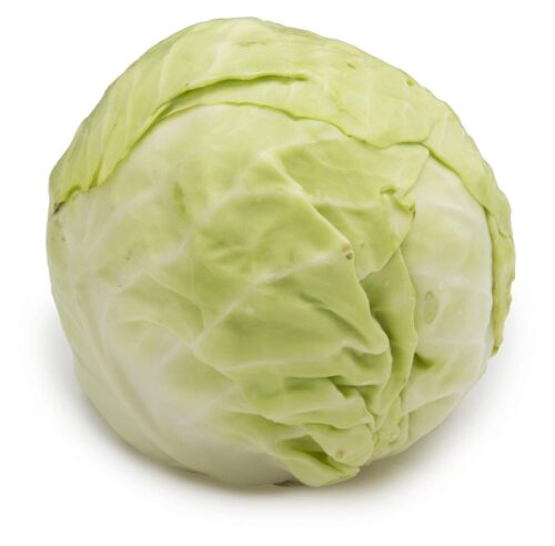 Cabbage