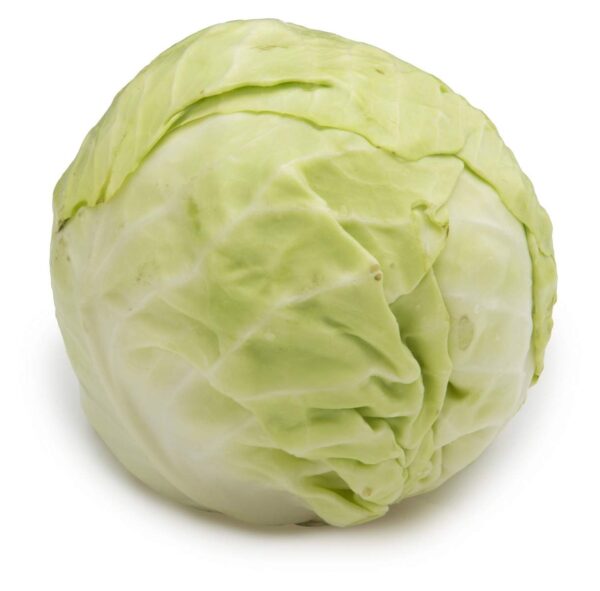 Version 1.0.0 Cabbage