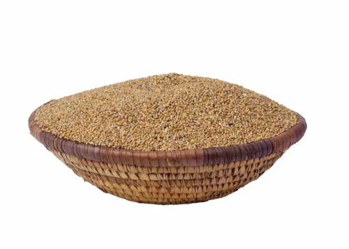 Millet (Derica)