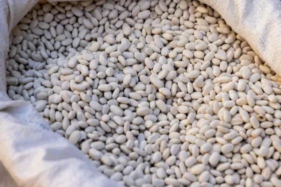 white beans Beans - White (bag)