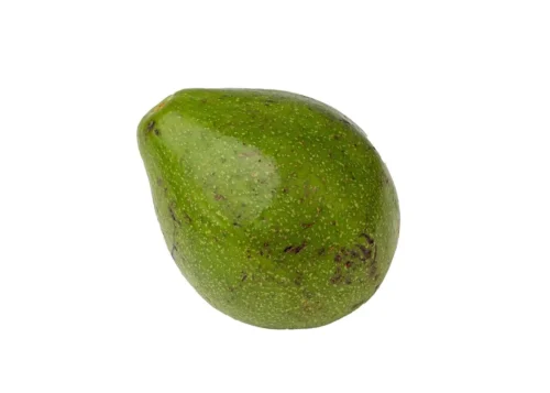 Avocado Pear (1 piece)