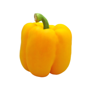bell-pepper-yellow-1-piece Bell Pepper - Yellow  (250g, 1 piece)