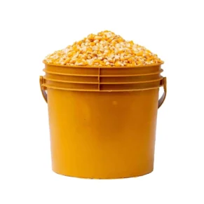 Corn (yellow, 1 paint)