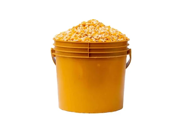 corn-yellow-paint-bucket Corn - Yellow (paint bucket)