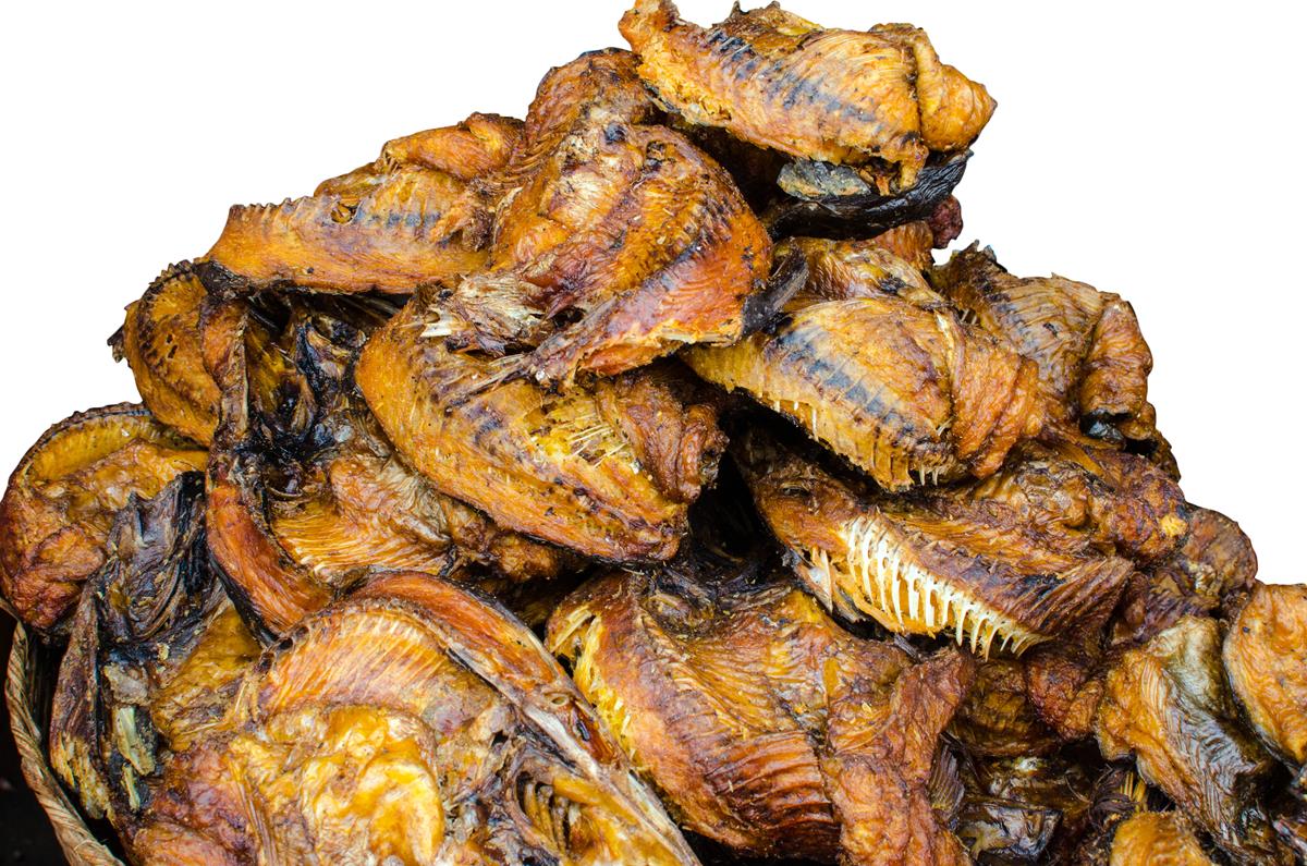 Thailand fish | SundryAgro