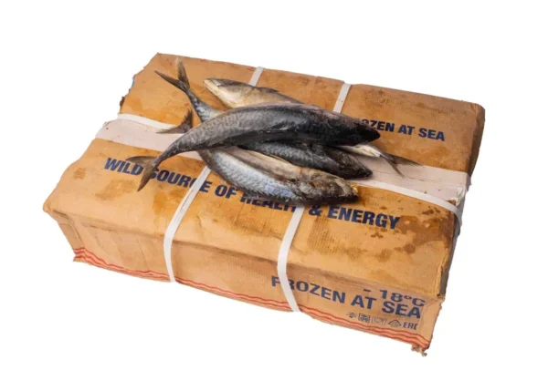 titus-frozen-carton Fish - Titus/Mackerel (carton)