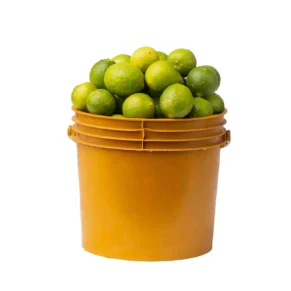 lime-bucket Lime (paint bucket)