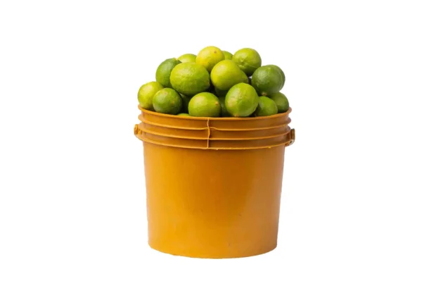 lime-bucket Lime (paint bucket)