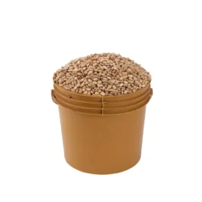 Beans - Oloyin (paint bucket)