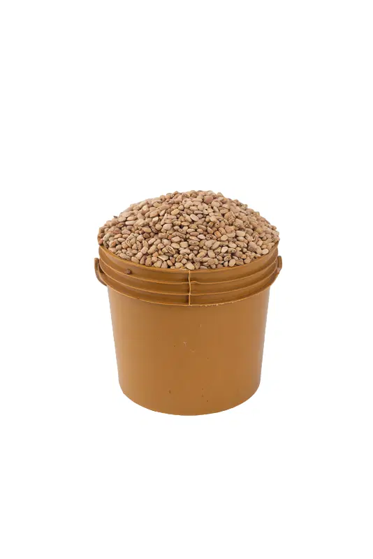 oloyin-beans Beans - Oloyin (paint bucket)