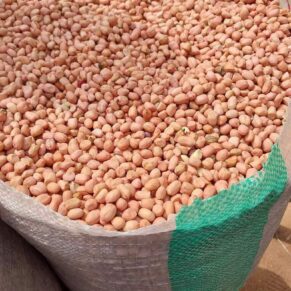 Groundnut (bag, 50kg)