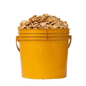 ogbono-1-paint Ogbono (1 paint)