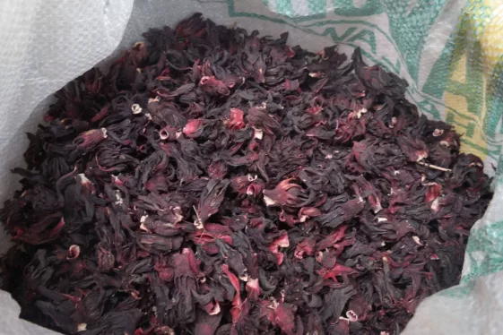zobo-bag Zobo (bag)