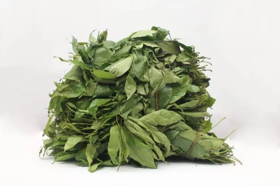 afang-okasi Afang/Okazi (bunch)