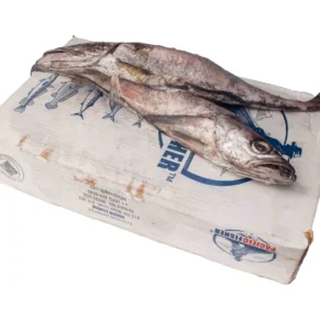 hake-fish-carton Fish - Hake (carton)