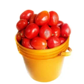 Tomato - UTC Grade (paint bucket)