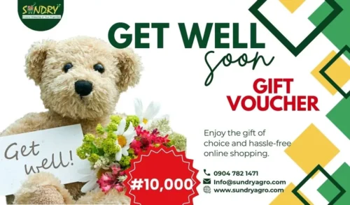SundryAgro Get Well Soon Bronze eGift Card