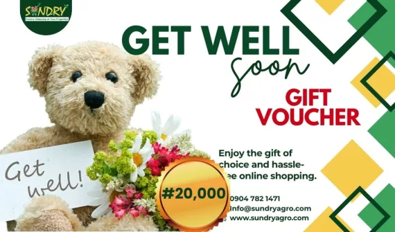 17 SundryAgro Get Well Soon Silver eGift Card