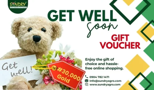 SundryAgro Get Well Soon Gold eGift Card