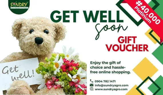 19 SundryAgro Get Well Soon Platinum eGift Card
