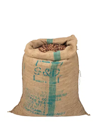 dates-bag Dates (per bag)