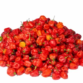 habanero-pepper-1-basket Pepper - Ata Rodo (basket)
