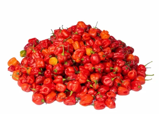 habanero-pepper-1-basket Pepper - Ata Rodo (basket)