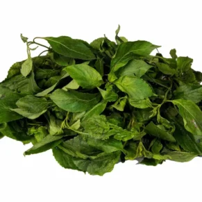 Scent Leaf/Efirin (bunch)