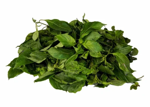 scent-leaves Scent Leaf/Efirin (bunch)