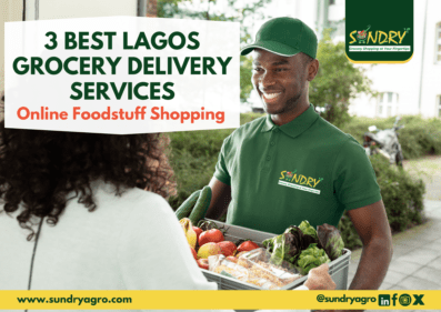 Lagos grocery delivery services