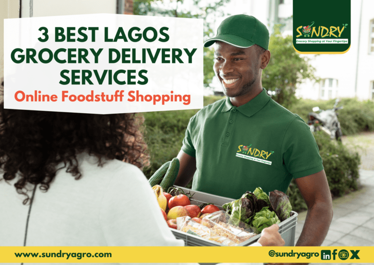 Lagos grocery delivery services