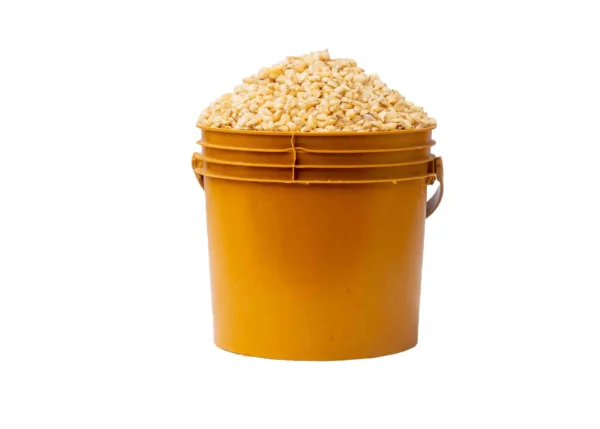 corn-white-paint-bucket Corn (white, 1 paint)