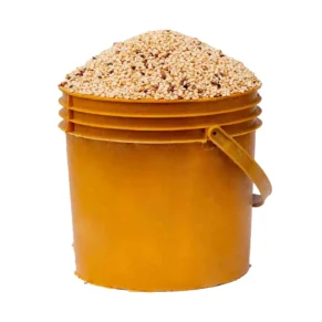Guinea Corn - Oka baba (white, paint bucket)