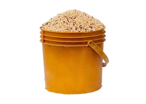 guinea-corn-paint-white Guinea Corn - Oka baba (white, paint bucket)