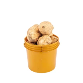 sweet-potato-paint-bucket Potato - Sweet (Paint Bucket, 3.5kg)
