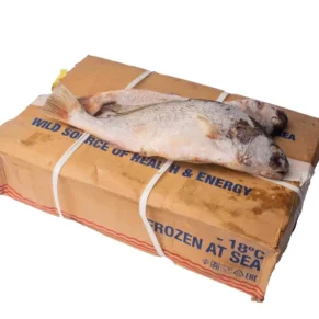 croaker-carton Fish - Croaker (Carton)