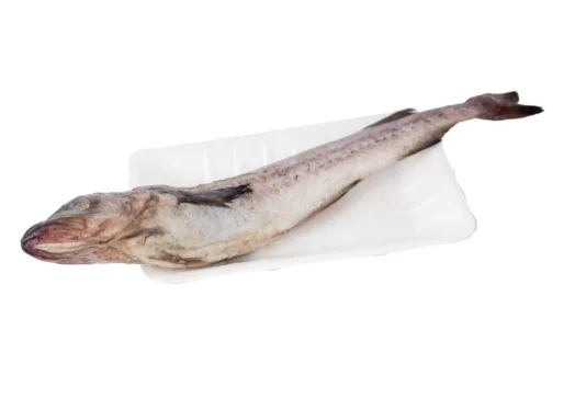 hake-fish Fish - Hake (1 kg)