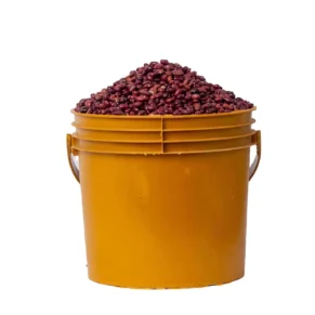 red-kidney-beans-bucket Red Kidney Beans (paint bucket)