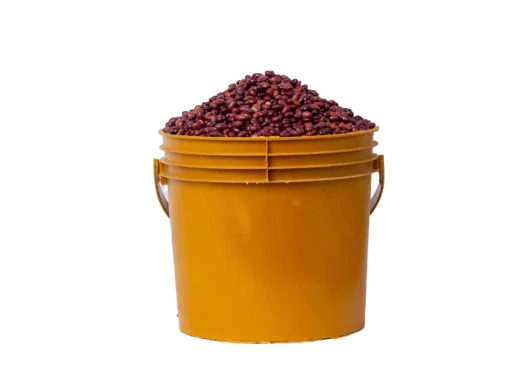 red-kidney-beans-bucket Red Kidney Beans (paint bucket)
