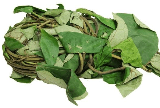 uniza vs scent leaf