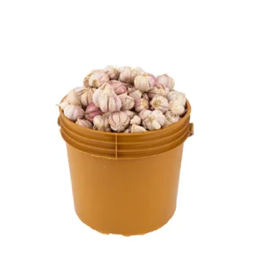 Garlic (Paint Bucket, 2.8 kg)