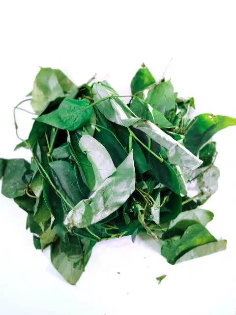 utazi Utazi Leaves