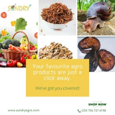 how to eat healthy in a busy city