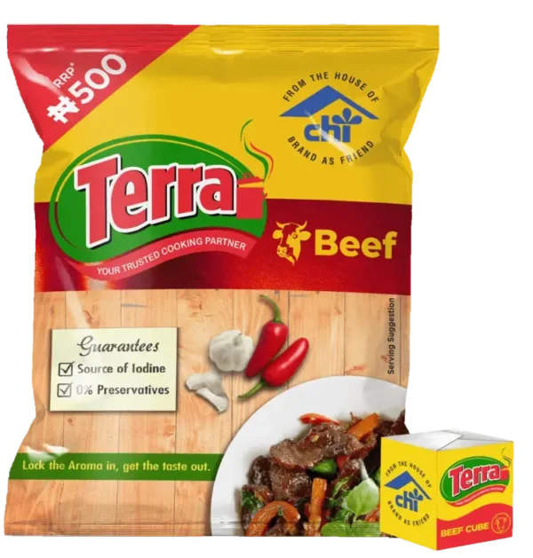 Terra Seasoning Beef (₦500, 34 x 10)