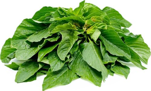 120bunch-1718986991590.jpg Efo Shoko - Agric