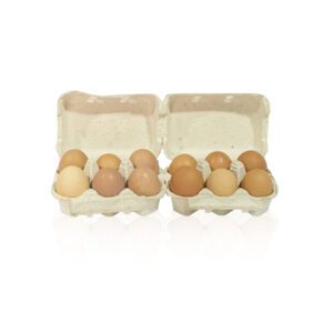 62fa005e8f598-1725352303850.jpg Eggs