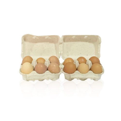 62fa005e8f598-1725352303850.jpg Eggs